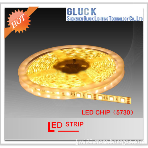 Prefessional Warm White/White LED Strip Light 5730